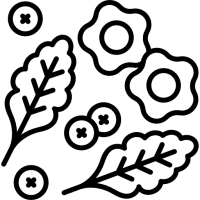 des-legumes